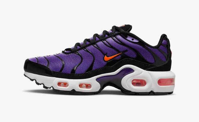 Air Max TN Plus Purple